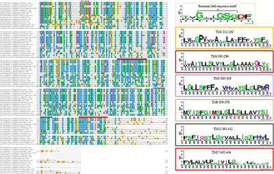 A Molecular Docking Study of Human STEAP2 for the Discovery of New Potential Anti-Prostate Cancer Chemotherapeutic Candidates